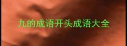 九的成语开头成语大全