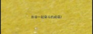 形容一起奋斗的成语