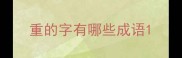 重的字有哪些成语