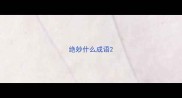 绝妙什么成语