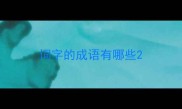 词字的成语有哪些
