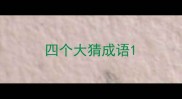 四个大猜成语