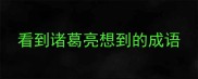 看到诸葛亮想到的成语