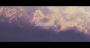 动物填成语