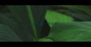 众猜成语一个成语
