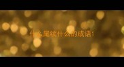 什么尾续什么的成语