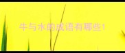 牛与水的成语有哪些