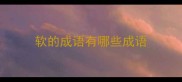 软的成语有哪些成语