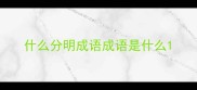 什么分明成语成语是什么