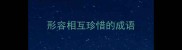 形容相互珍惜的成语