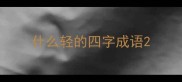 什么轻的四字成语