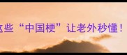 异国成语冷知识这些中国梗让老外秒懂看完秒变文化课代表