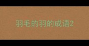 羽毛的羽的成语