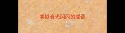 类似金光闪闪的成语
