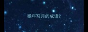 猴年马月的成语