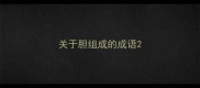 关于胆组成的成语