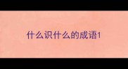 什么识什么的成语