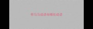 带马马成语有哪些成语