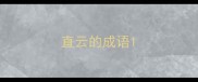 直云的成语