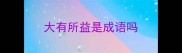 大有所益是成语吗