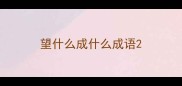 望什么成什么成语