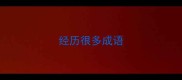 经历很多成语