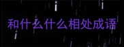 和什么什么相处成语