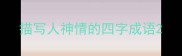 描写人神情的四字成语