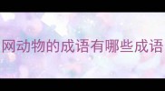 网动物的成语有哪些成语