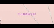 什么有成语大全