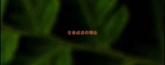 含春成语有哪些