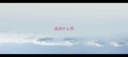 成语什么思