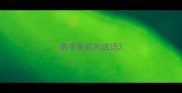 退字最后的成语
