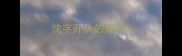 沈字开头的成语