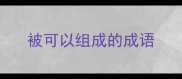 被可以组成的成语