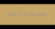 成语大全关于自字成语