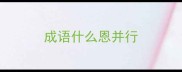 成语什么恩并行