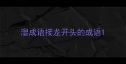 湿成语接龙开头的成语