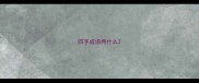 四字成语两什么