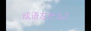 成语左什么