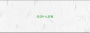 成语什么游客