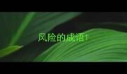 风险的成语