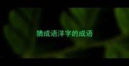 猜成语洋字的成语