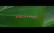 成语接龙解不开的成语