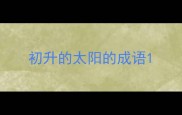 初升的太阳的成语