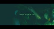 成语的三个是择字的