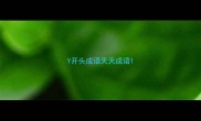 Y开头成语天天成语