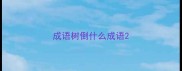成语树倒什么成语