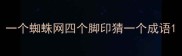 一个蜘蛛网四个脚印猜一个成语