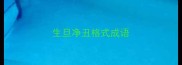 生旦净丑格式成语